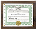 Extron Audio Technology Patent Extron Audio Technology Patent