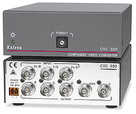 CVC 300